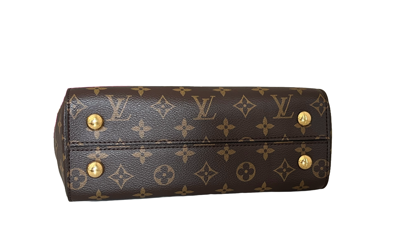 Louis Vuitton Cluny BB, Monogram canvas